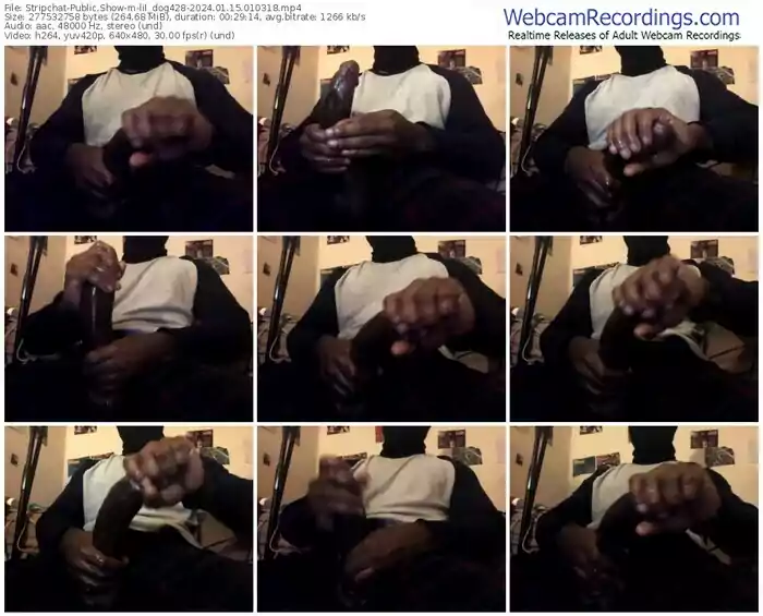 stripchat-lil_dog428-01-15-2024-01-03-18