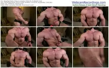 stripchat-mike0xx-01-15-2024-08-22-01