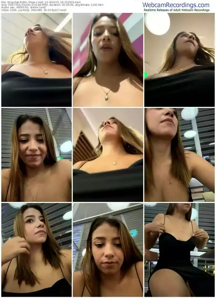 stripchat-hall_16-01-16-2024-23-29-33