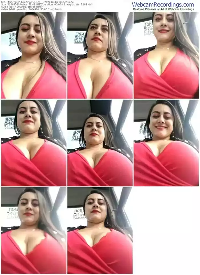 stripchat-ory___-01-16-2024-20-15-09