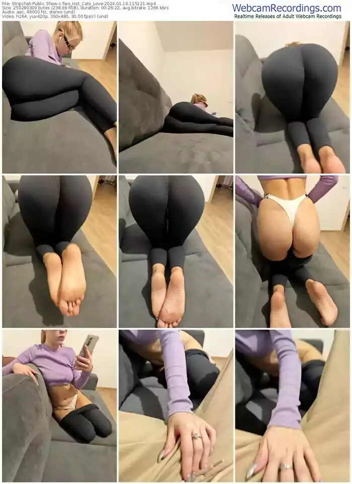 stripchat-two_hot_cats_love-01-16-2024-11-51-21