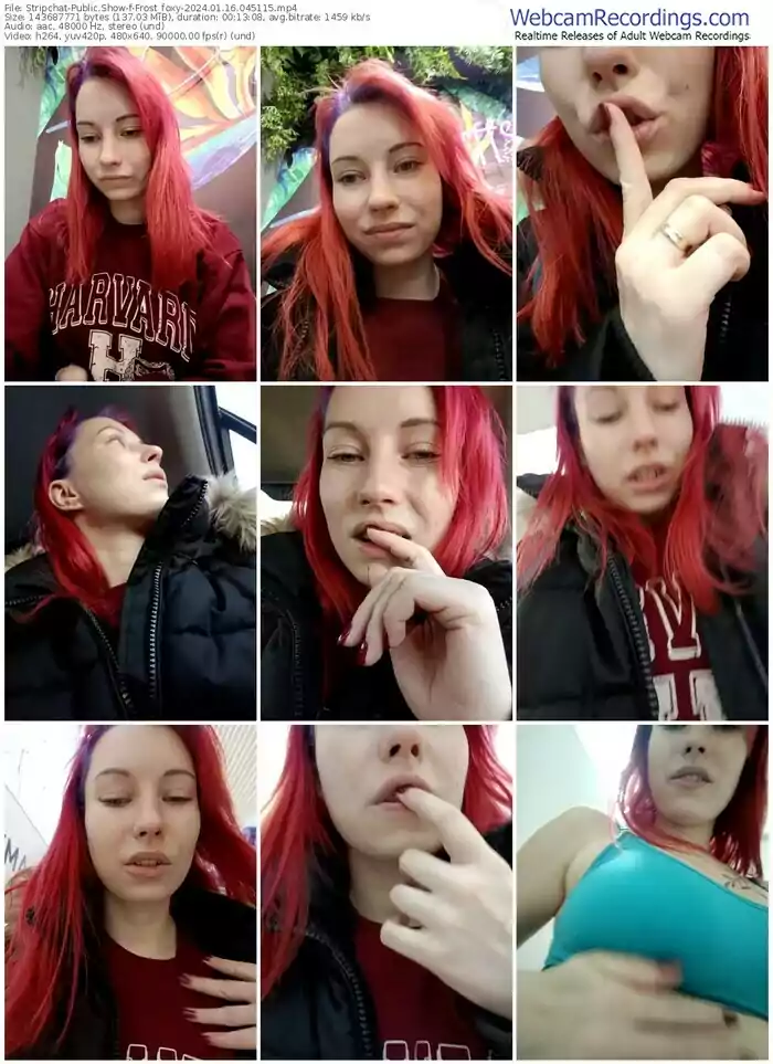 stripchat-frost_foxy-01-16-2024-04-51-15
