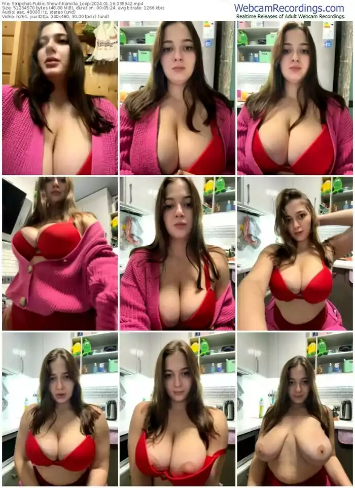 stripchat-kamilla_loop-01-16-2024-03-59-42
