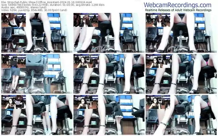 stripchat-office_assistant-01-16-2024-00-09-24