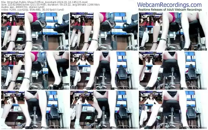 stripchat-office_assistant-01-16-2024-18-51-15