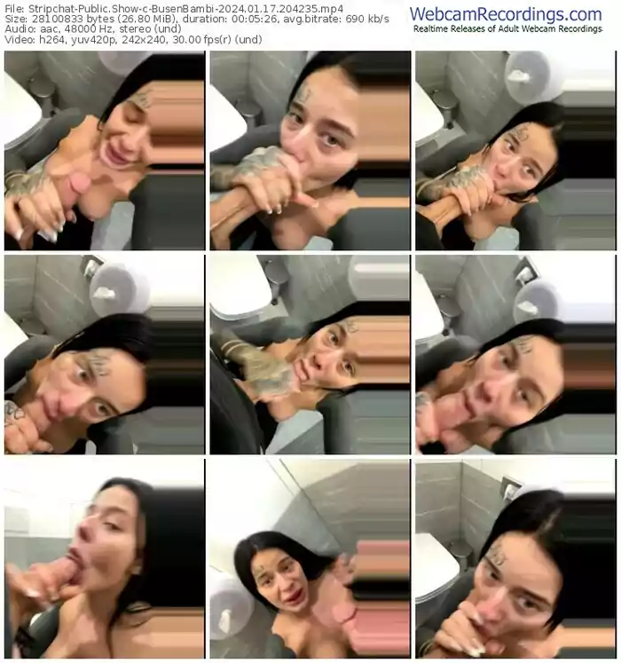 stripchat-busenbambi-01-17-2024-20-42-35