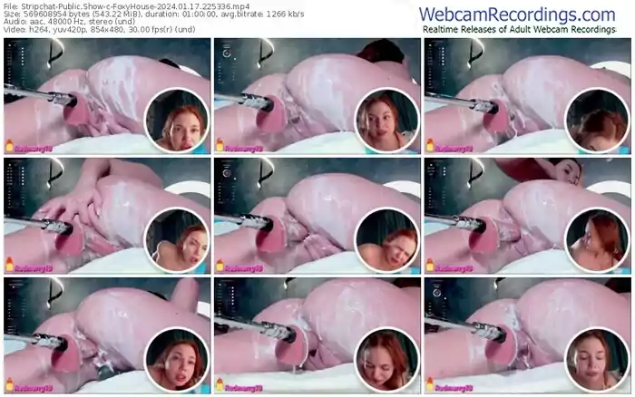 stripchat-foxyhouse-01-17-2024-22-53-36
