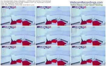 stripchat-partybdsm__vortex_sex-01-17-2024-04-13-14