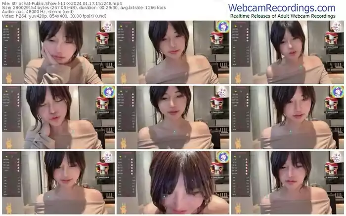 stripchat-11-x-01-17-2024-15-12-48