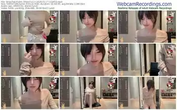 stripchat-11-x-01-17-2024-16-26-52