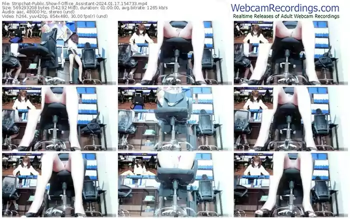 stripchat-office_assistant-01-17-2024-15-47-33