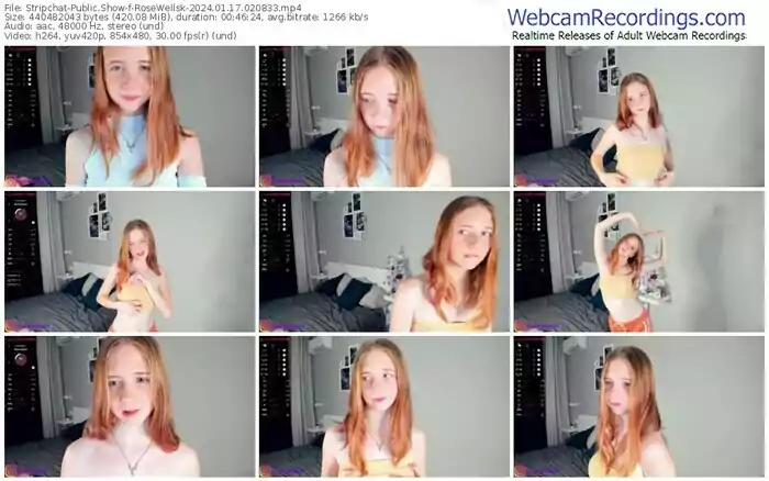 stripchat-rosewellsk-01-17-2024-02-08-33