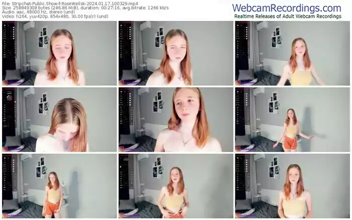 stripchat-rosewellsk-01-17-2024-10-03-29