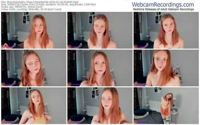 stripchat-rosewellsk-01-18-2024-05-40-36