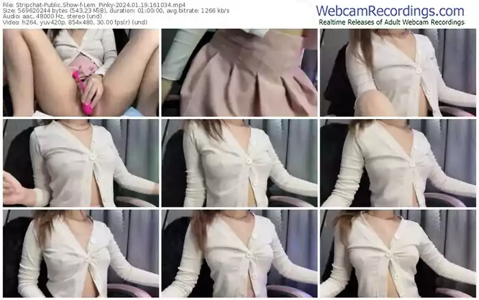 stripchat-lem_pinky-01-19-2024-16-10-34