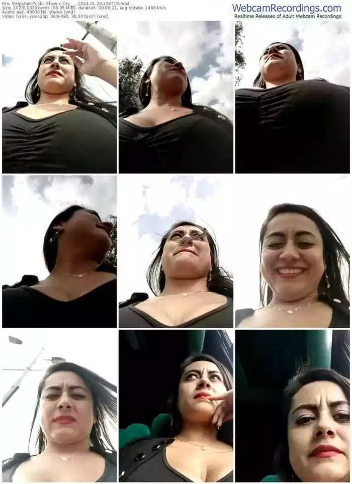 stripchat-ory___-01-20-2024-19-47-19