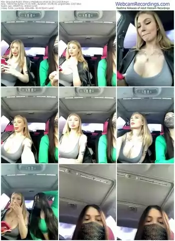 stripchat-shybabyss-01-20-2024-11-02-18