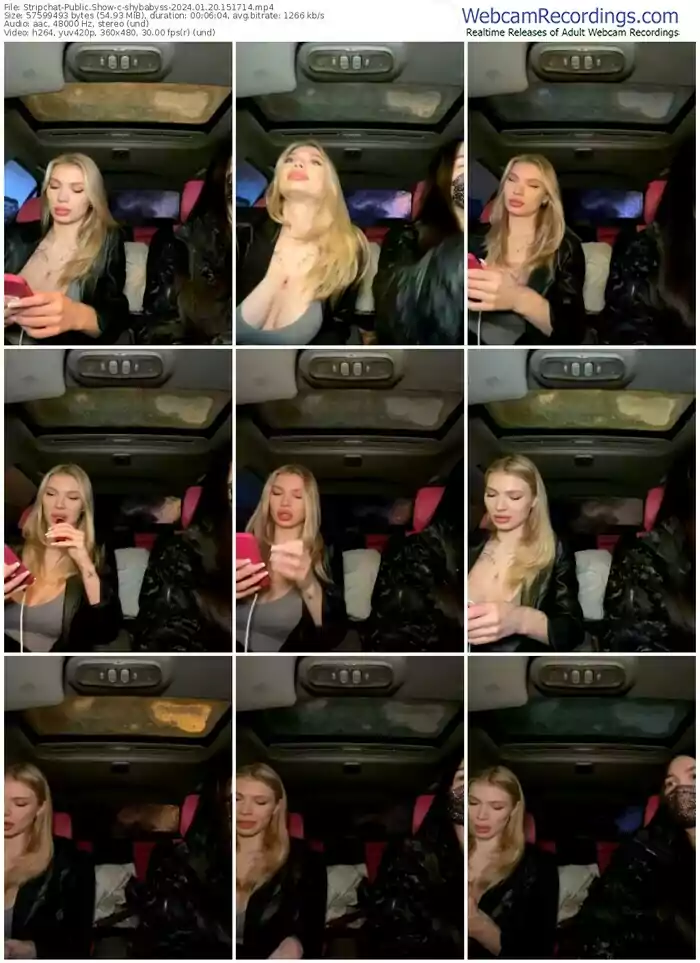 stripchat-shybabyss-01-20-2024-15-17-14