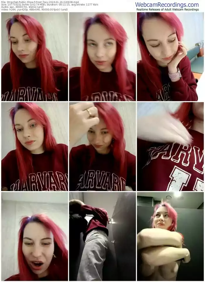 stripchat-frost_foxy-01-20-2024-02-08-38