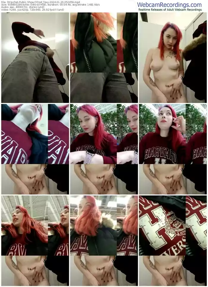 stripchat-frost_foxy-01-20-2024-05-24-59