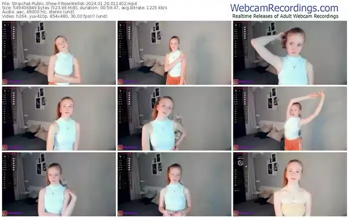 stripchat-rosewellsk-01-20-2024-01-14-02