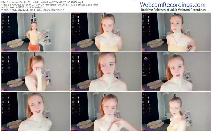 stripchat-rosewellsk-01-20-2024-03-48-45