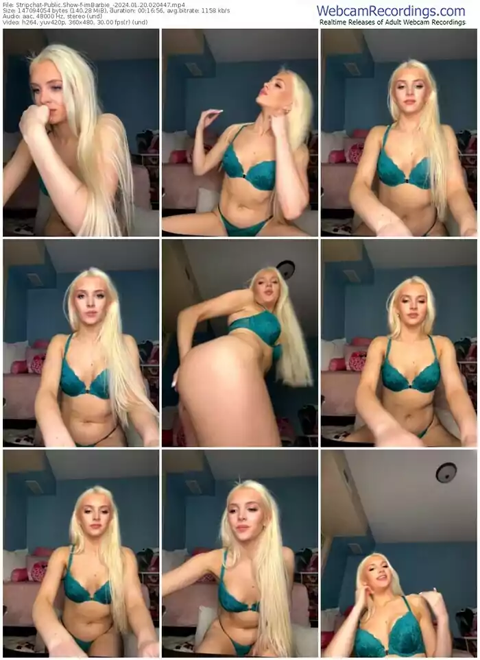 stripchat-imbarbie_-01-20-2024-02-04-47