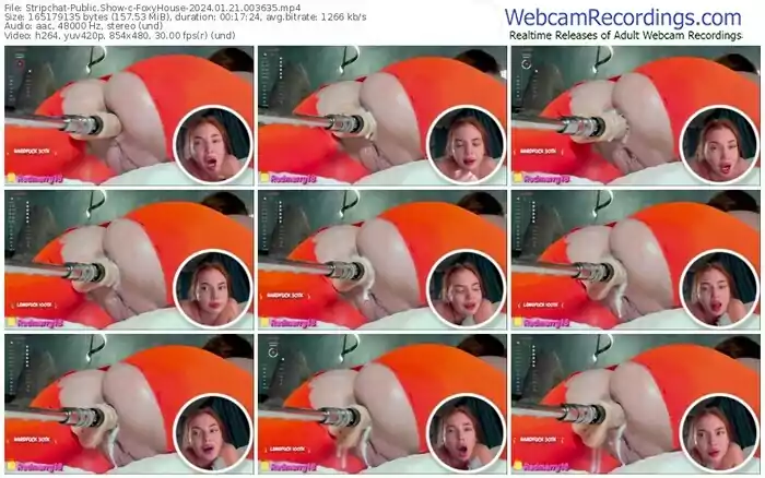 stripchat-foxyhouse-01-21-2024-00-36-35