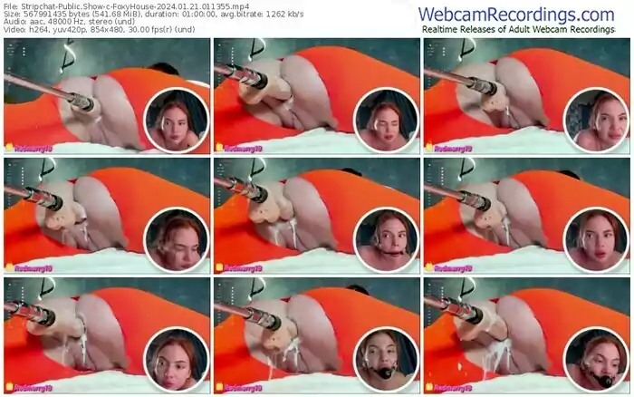 stripchat-foxyhouse-01-21-2024-01-13-55