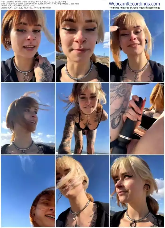 stripchat-sallydinosaur-01-21-2024-11-16-25