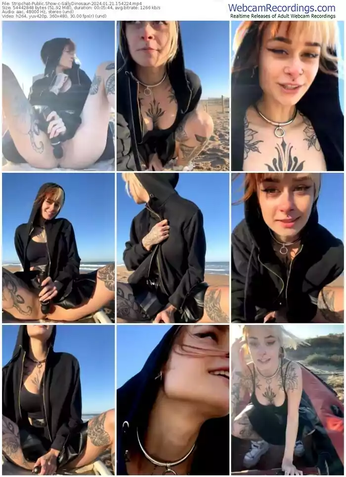 stripchat-sallydinosaur-01-21-2024-15-42-24