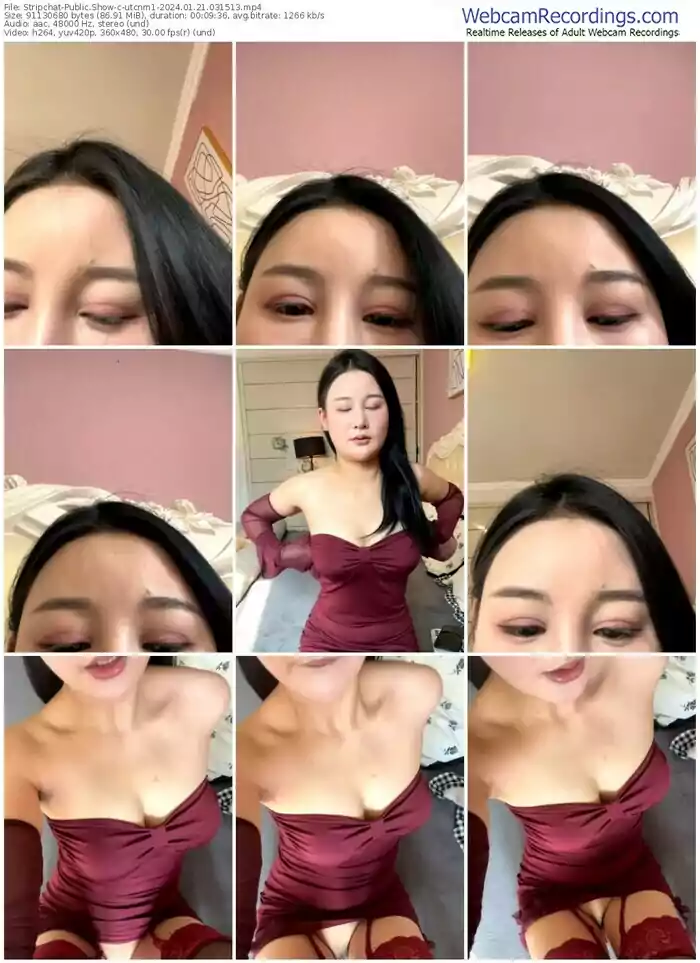 stripchat-utcnm1-01-21-2024-03-15-13