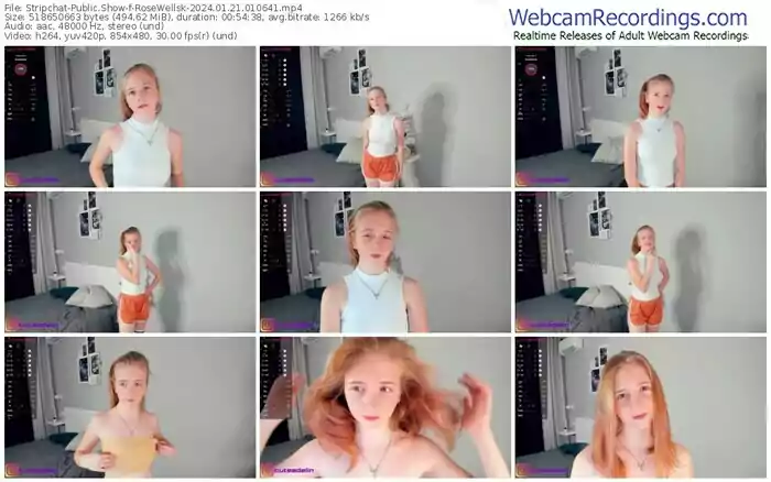 stripchat-rosewellsk-01-21-2024-01-06-41