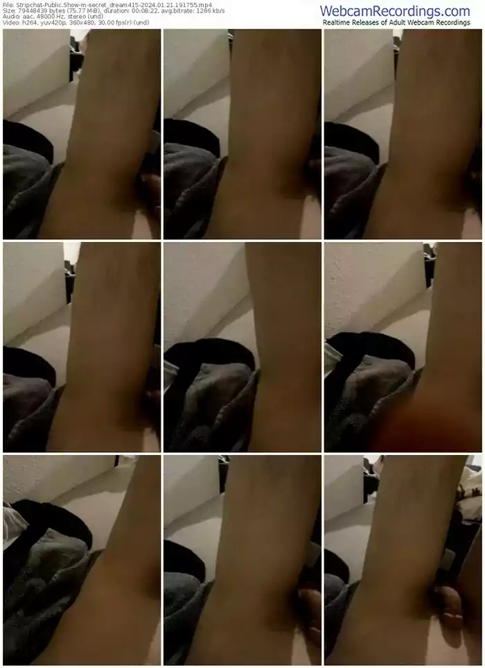 stripchat-secret_dream415-01-21-2024-19-17-55