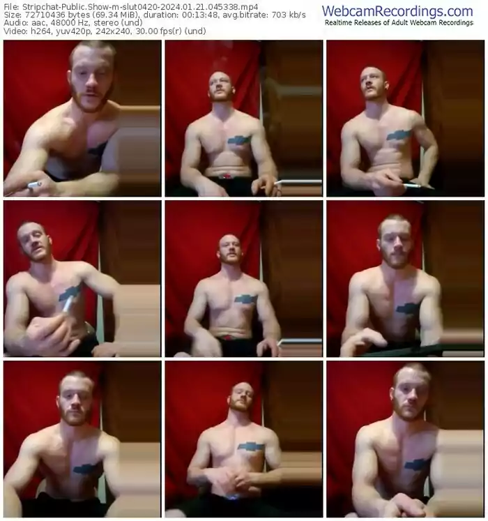 stripchat-slut0420-01-21-2024-04-53-38