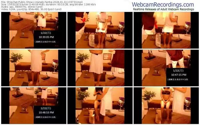 stripchat-hanabi-hentai-01-22-2024-13-37-33