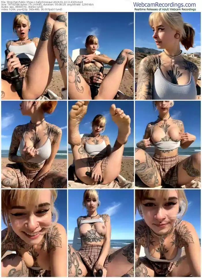 stripchat-sallydinosaur-01-22-2024-11-43-29
