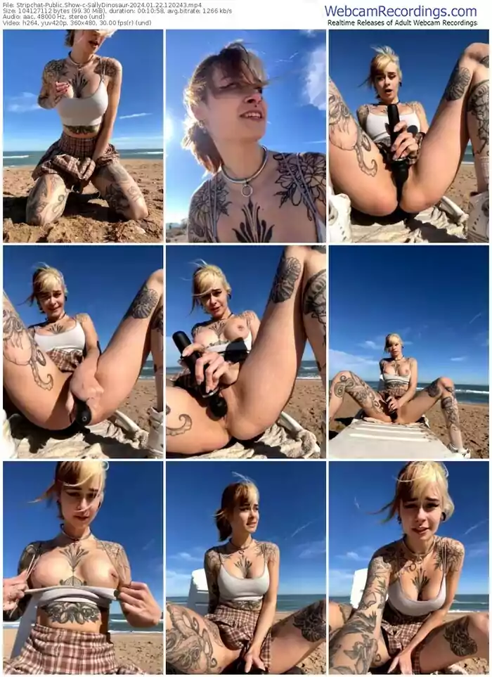 stripchat-sallydinosaur-01-22-2024-12-02-43