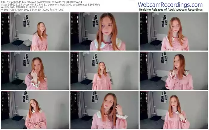 stripchat-rosewellsk-01-22-2024-01-08-52