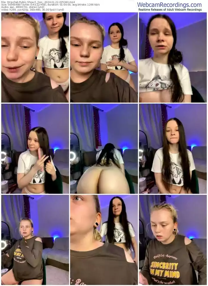 stripchat-_des_-01-22-2024-03-53-40