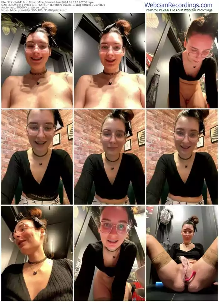 stripchat-the_snowwhitee-01-23-2024-11-07-00