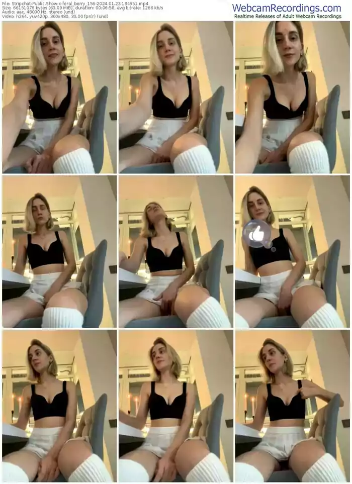 stripchat-feral_berry_156-01-23-2024-18-49-51