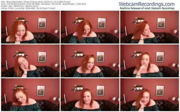 stripchat-dana_wolv-01-23-2024-23-46-24