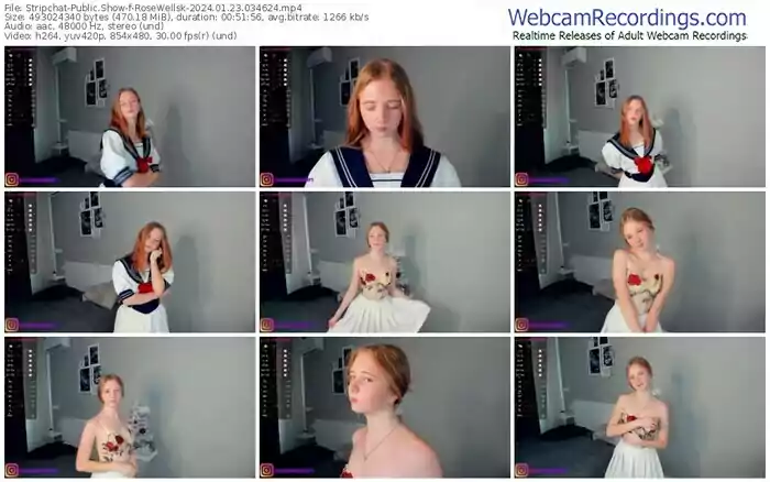 stripchat-rosewellsk-01-23-2024-03-46-24