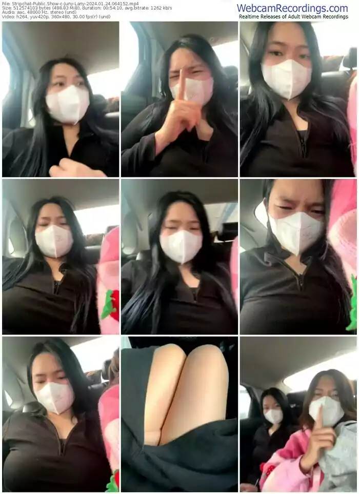 stripchat-juny-lany-01-24-2024-06-41-52