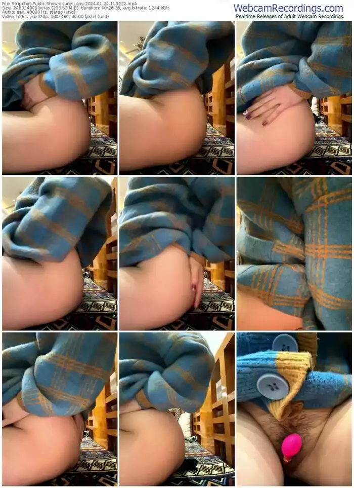 stripchat-juny-lany-01-24-2024-11-32-22