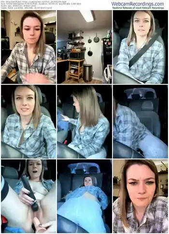 stripchat-ladylena1-01-24-2024-00-11-03