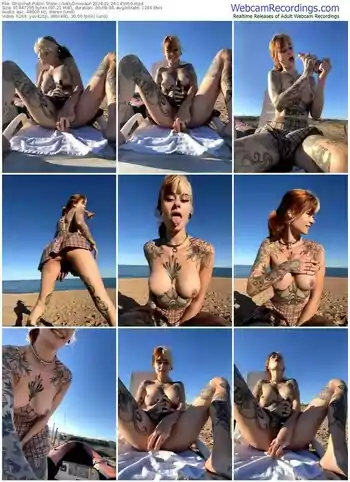 stripchat-sallydinosaur-01-24-2024-14-59-50