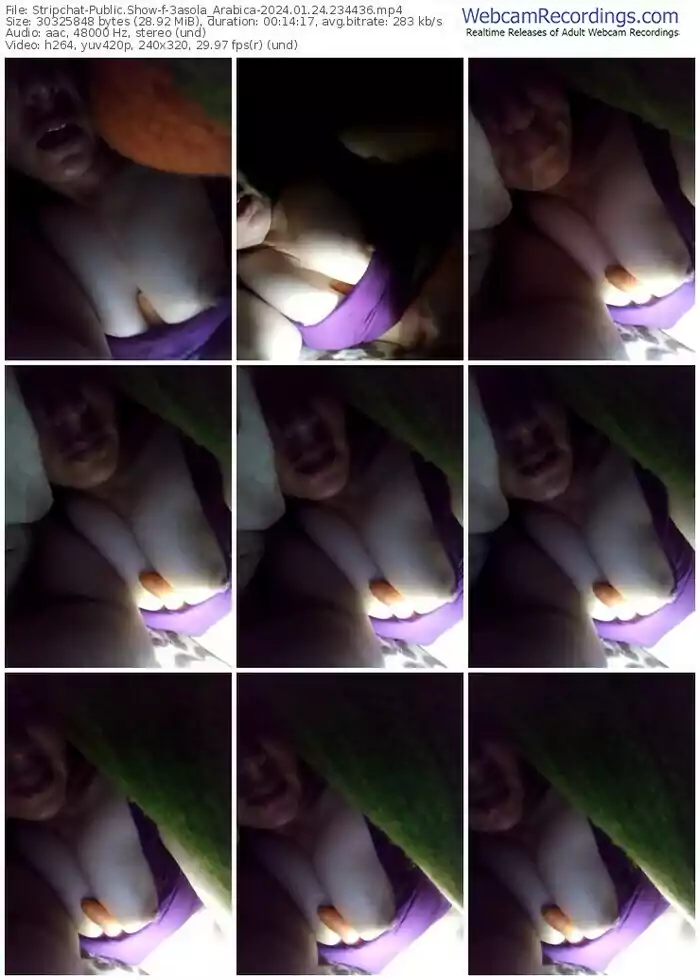 stripchat-3asola_arabica-01-24-2024-23-44-36