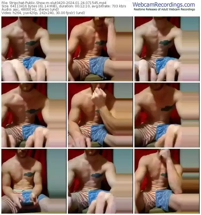 stripchat-slut0420-01-24-2024-07-15-45